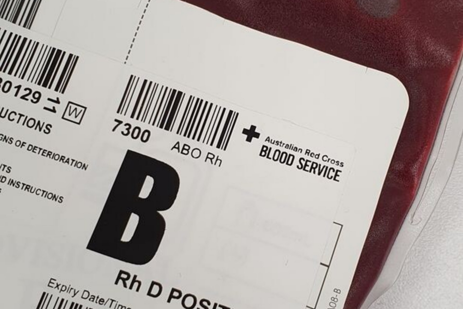 Assistenzarzt / Assistenzärztin - Fokus Transfusionsmedizin (w/m/d)
