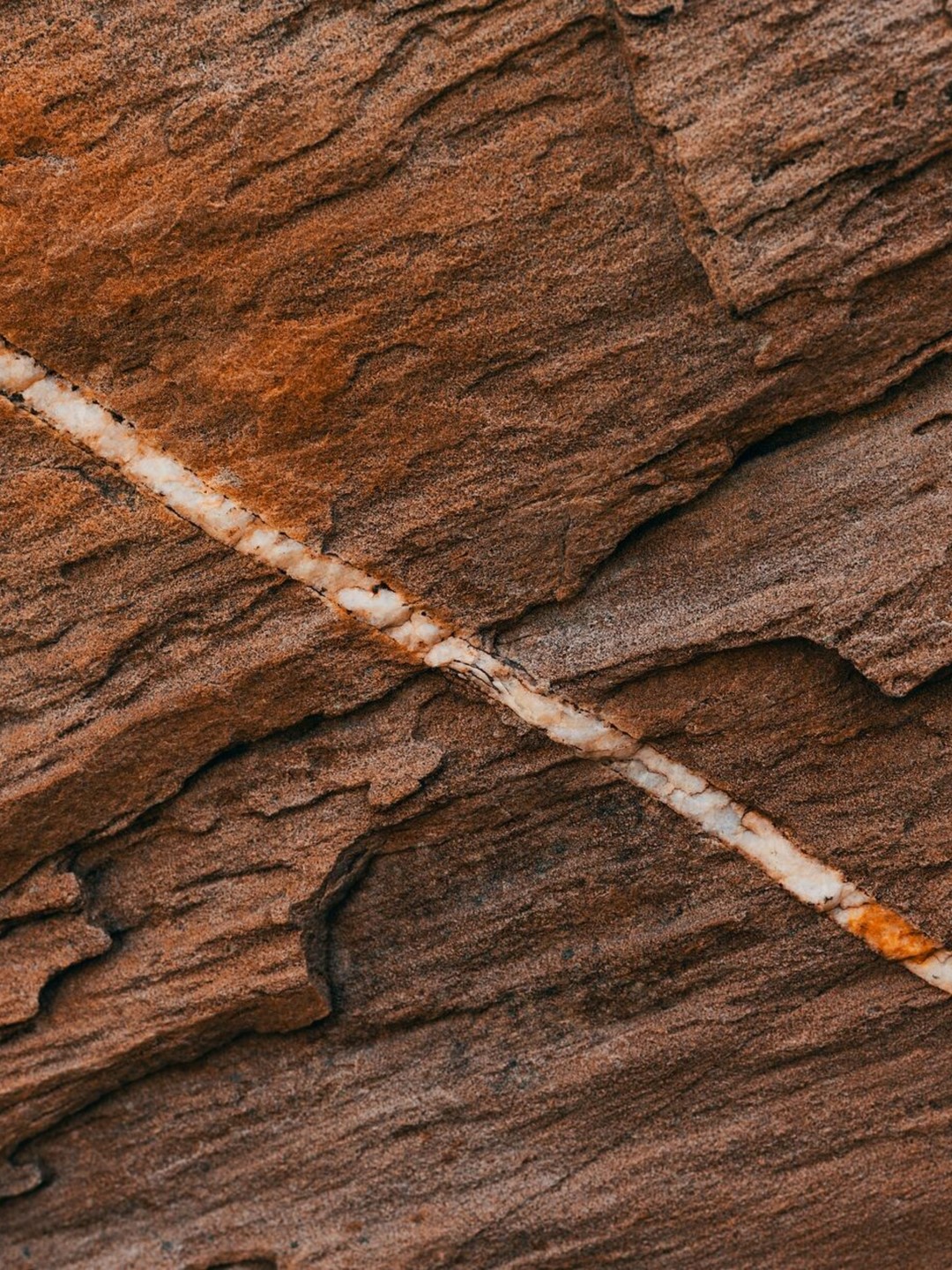 Projektleiter Geotechnik (m/w/d)