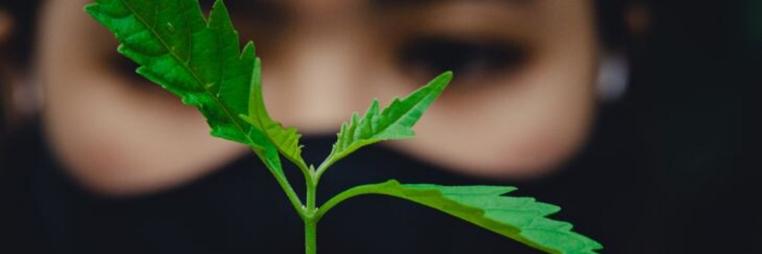 Umweltingenieur Jobs -Karriere für Klimaschutz, Wasserwirtschaft und Klimafolgenanpassung