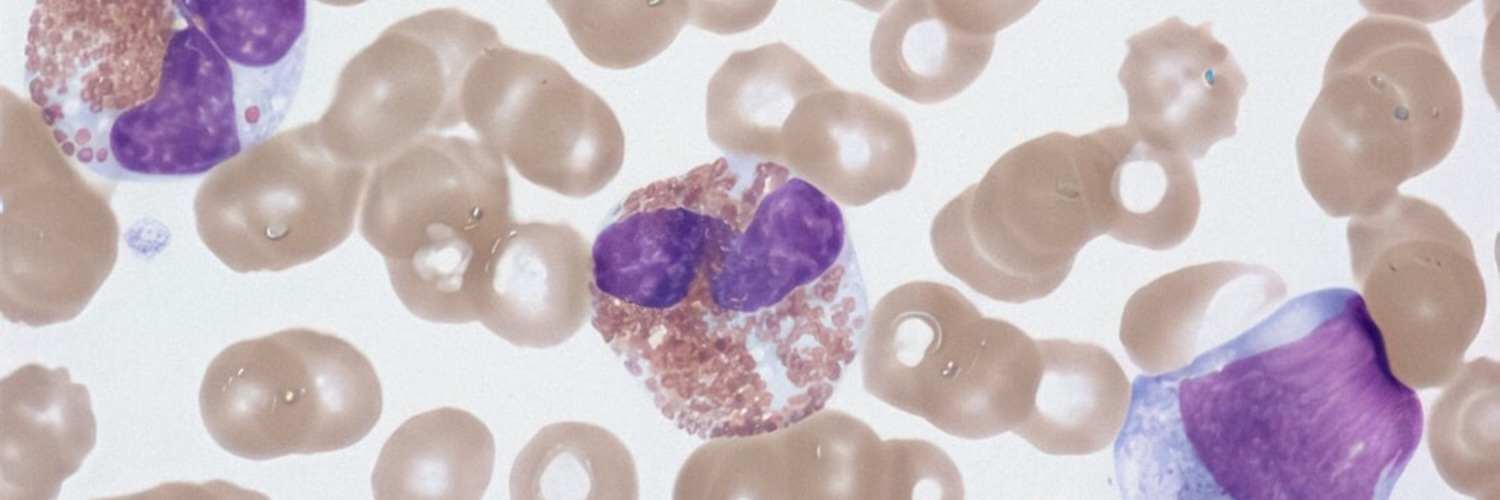 Pathologie Jobs – Berufsperspektiven für Ärzte und Gesundheitsfachkräfte