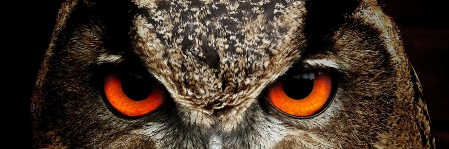 Executive Search Germany