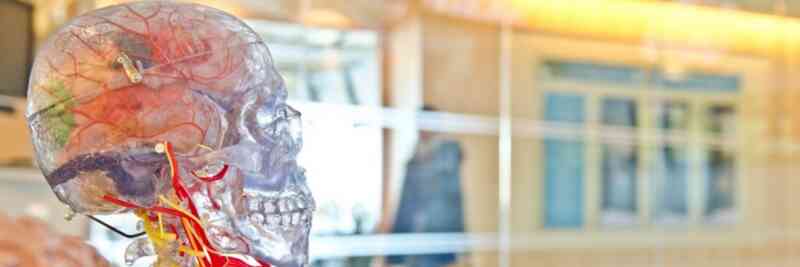 Generalistische Pflegeausbildung