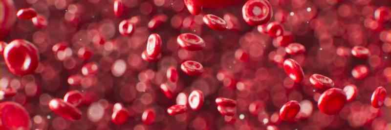 Assistenzarzt Transfusionsmedizin Stellenangebot im Blutspendedienst
