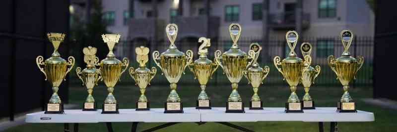 Success Story: Executive Search im höheren öffentlichen Dienst erfolgreich umgesetzt