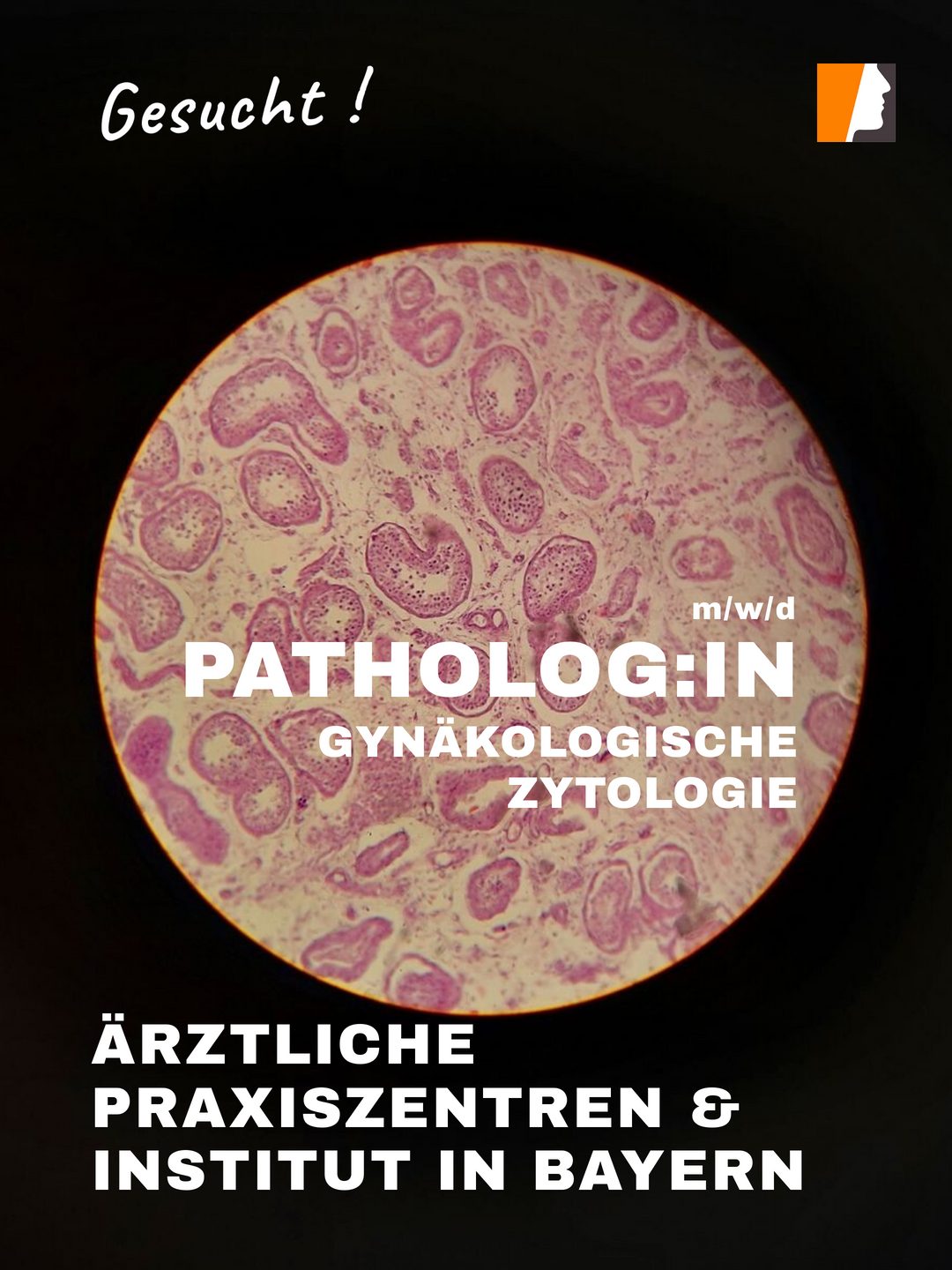 Pathologe Gynäkologie (m/w/d) – Stellenangebot MVZ in Bayern, Mo–Fr