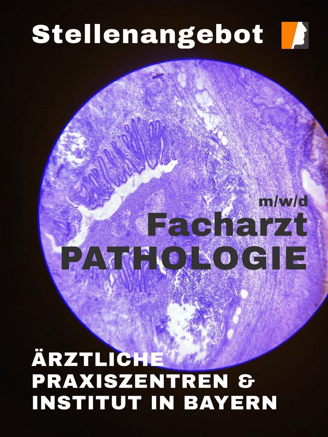 Facharzt Pathologie für MVZ in Bayern gesucht. Top Stellenangebot mit Spitzengehalt