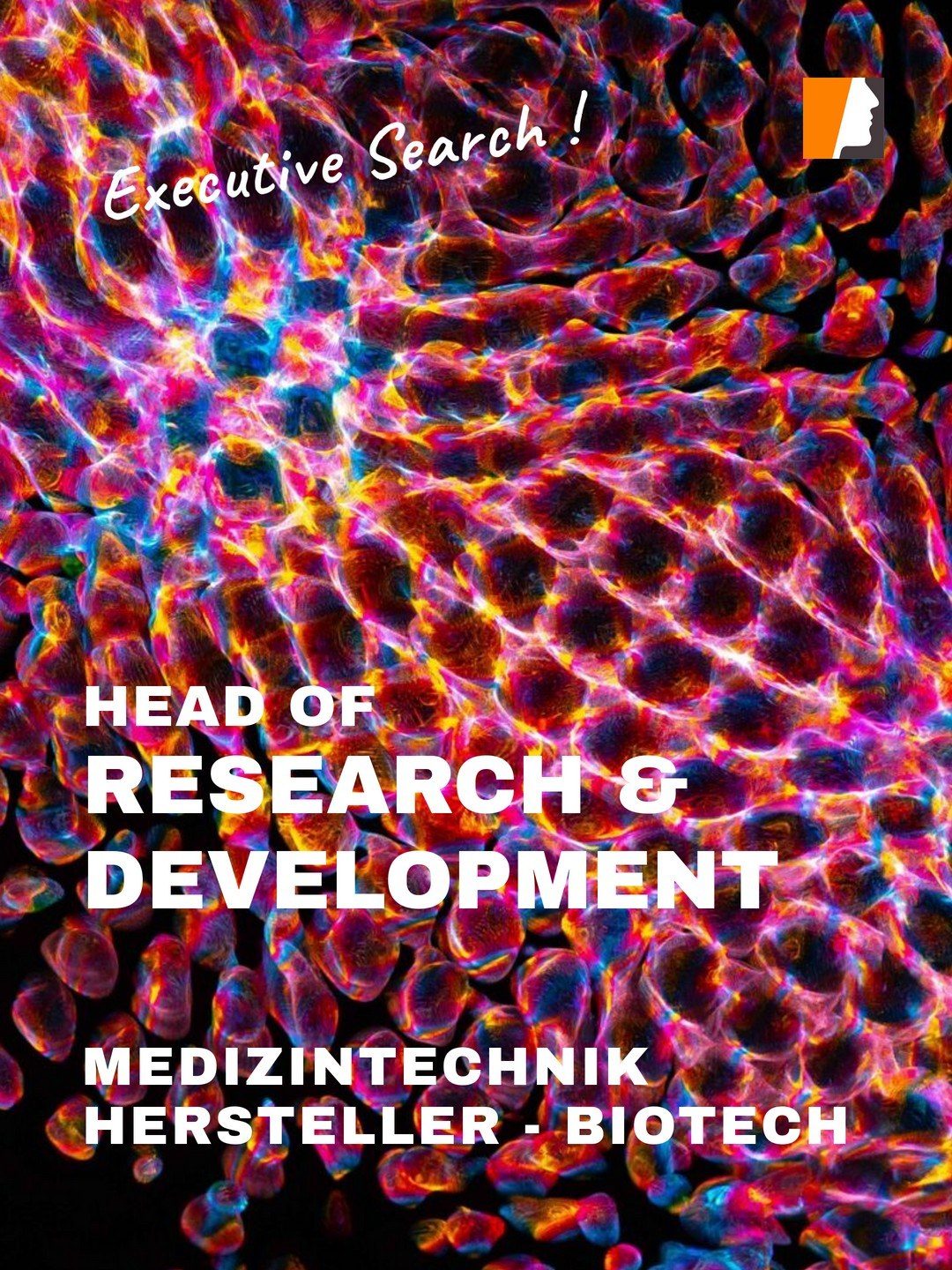Head of R&D Medizintechnik – Führung in Norddeutschland
