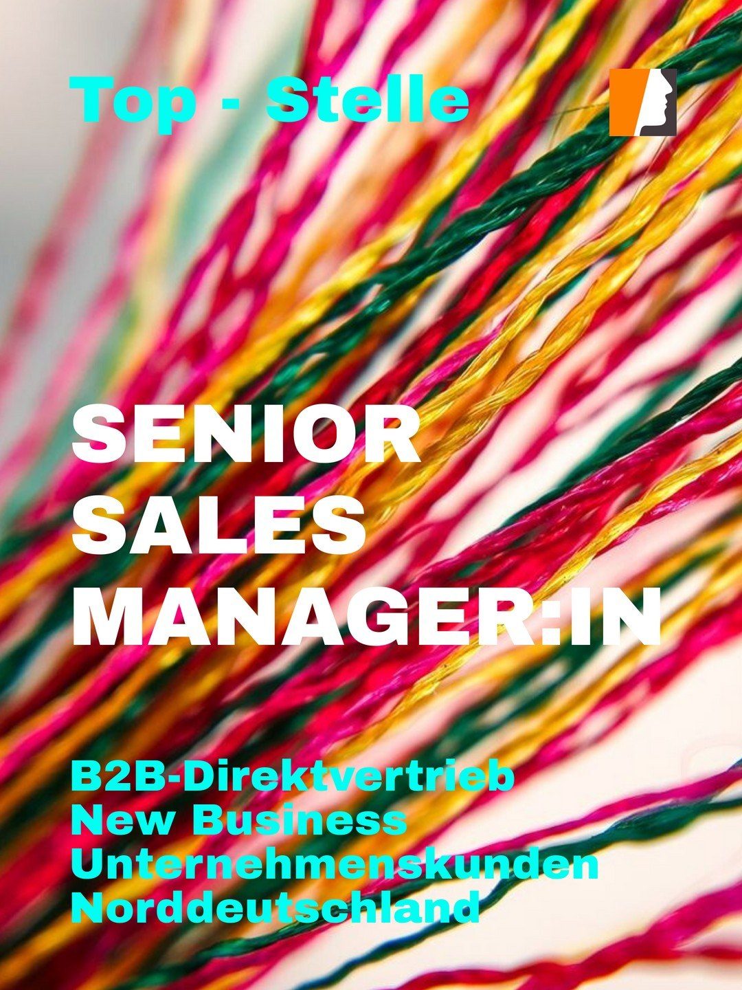 Senior Sales Manager B2B-Direktvertrieb Stelle in Norddeutschland