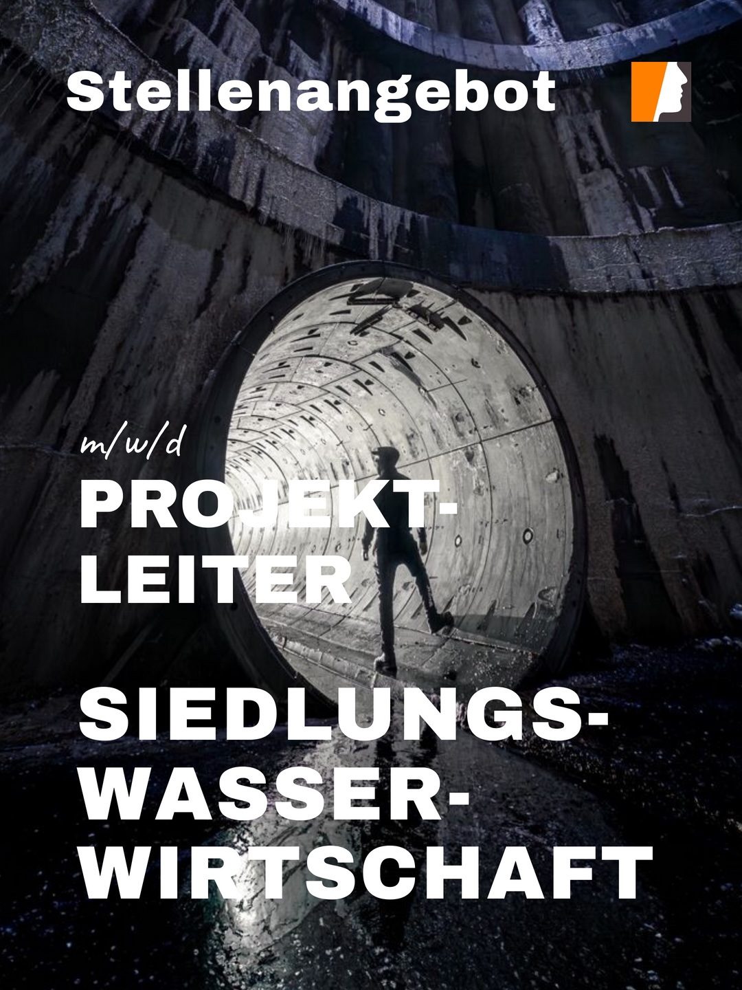 Senior Projektleiter Wasserwirtschaft (m/w/d), Niedersachsen
