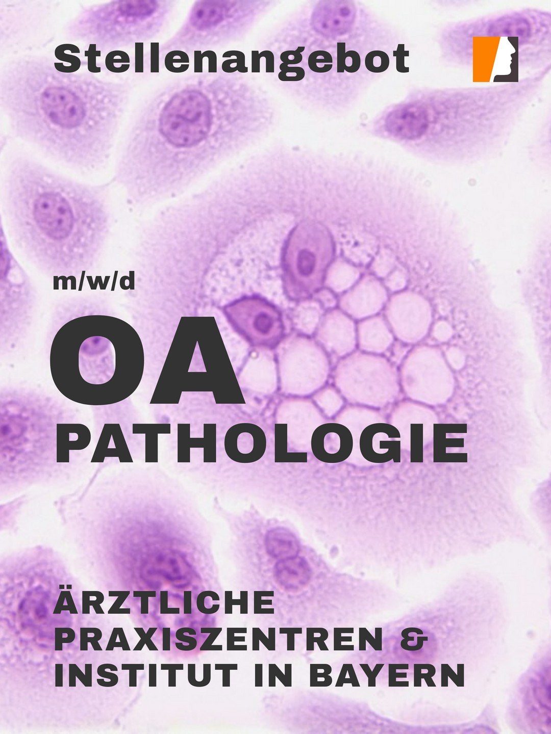 Oberarzt Pathologie (m/w/d) – unbefristetes Stellenangebot in Bayern